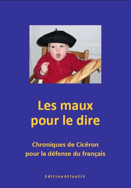 Les maux pour le dire. Chroniques de Cicéron pour la défense du français. 